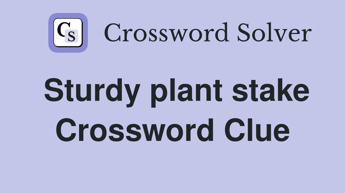 Sturdy plant stake Crossword Clue Answers Crossword Solver